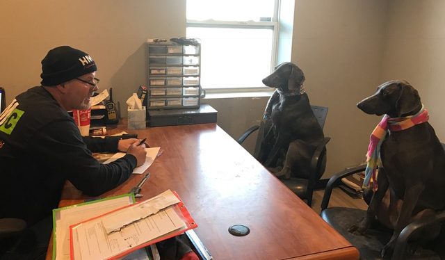 Owner Shawn Bristol meeting with the HMC shop dogs.